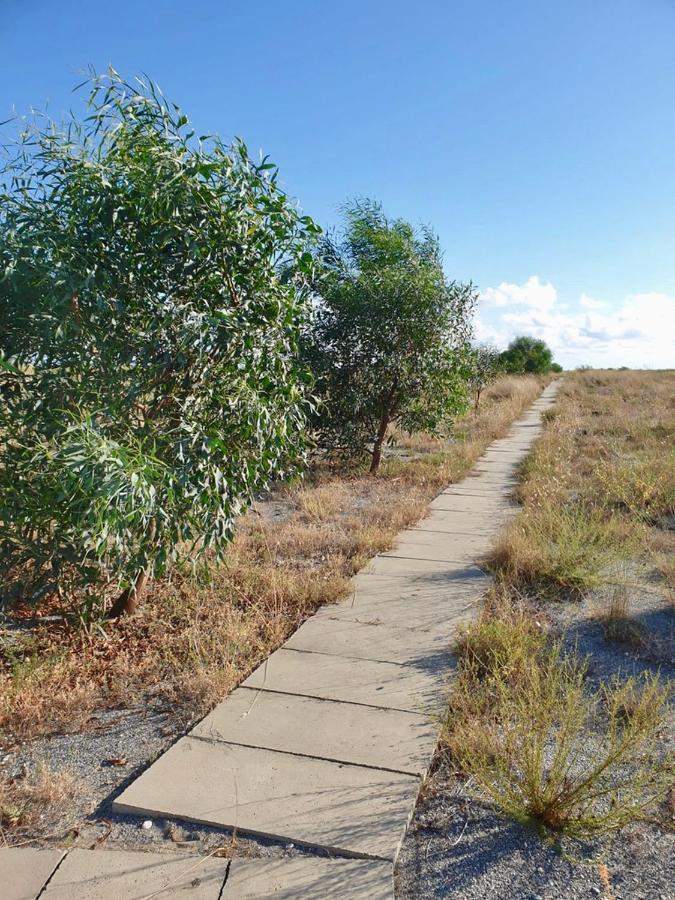 הוילה פאלרנה Vista Mare Su Tre Piani Con Giardino מראה חיצוני תמונה